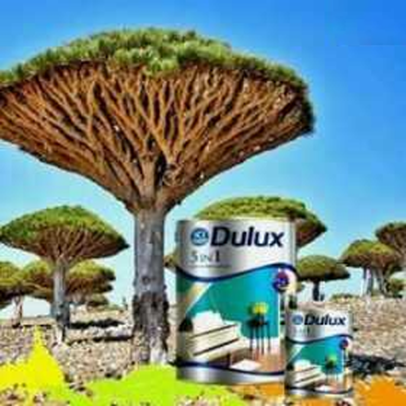 Tổng Kho Xây Dựng Miền Bắc